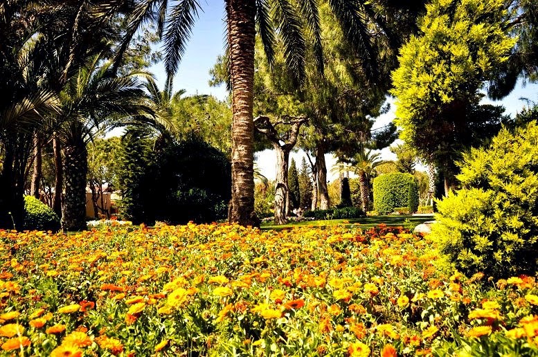 imagini hotel CLUB ASTERIA BELEK